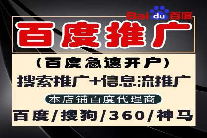 大型SEM服务公司案例分析
