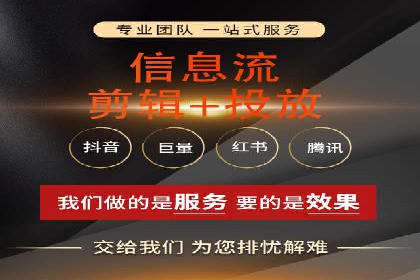 网络推广与竞价广告：双管齐下的策略案例